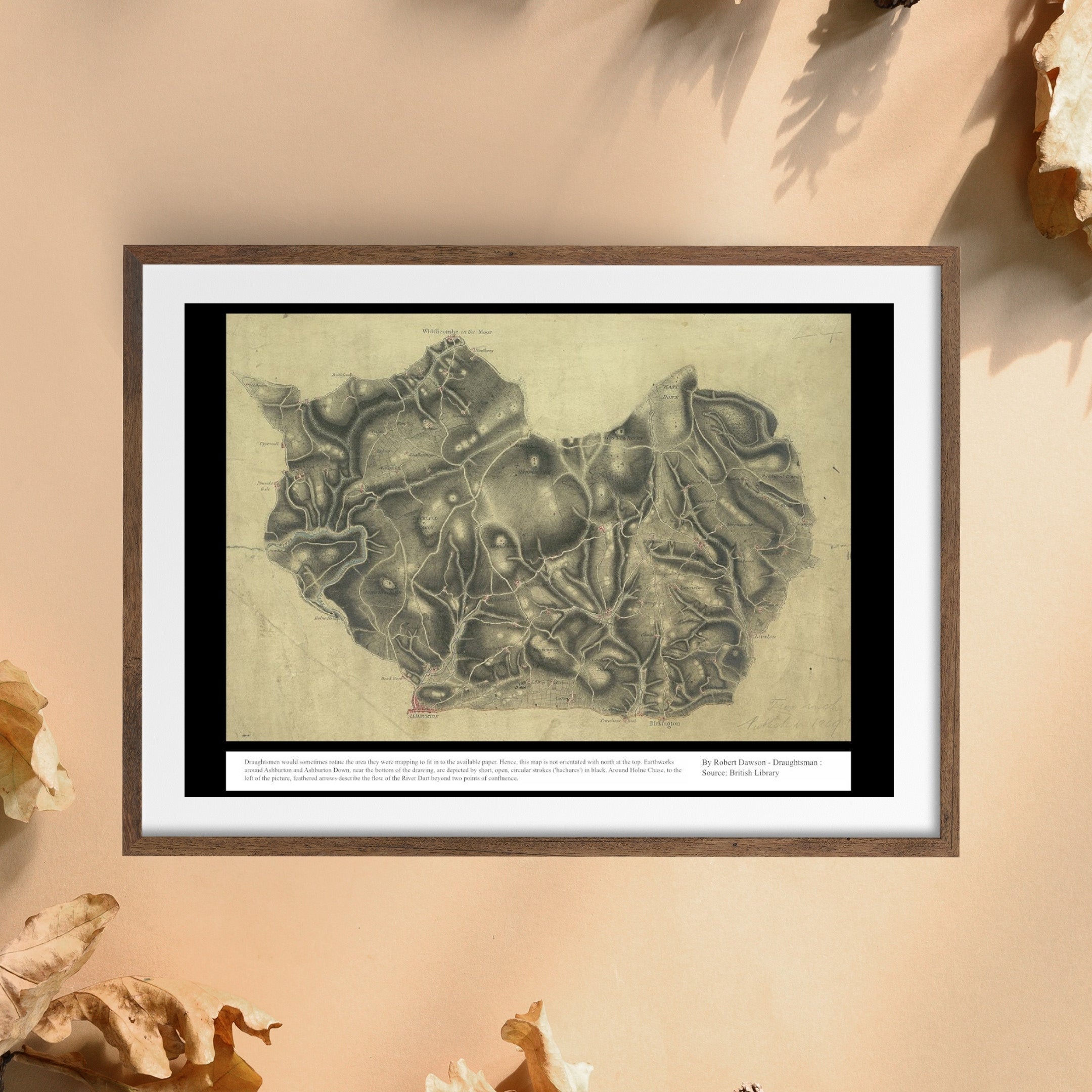 UK Vintage Map - Ashburton Devon