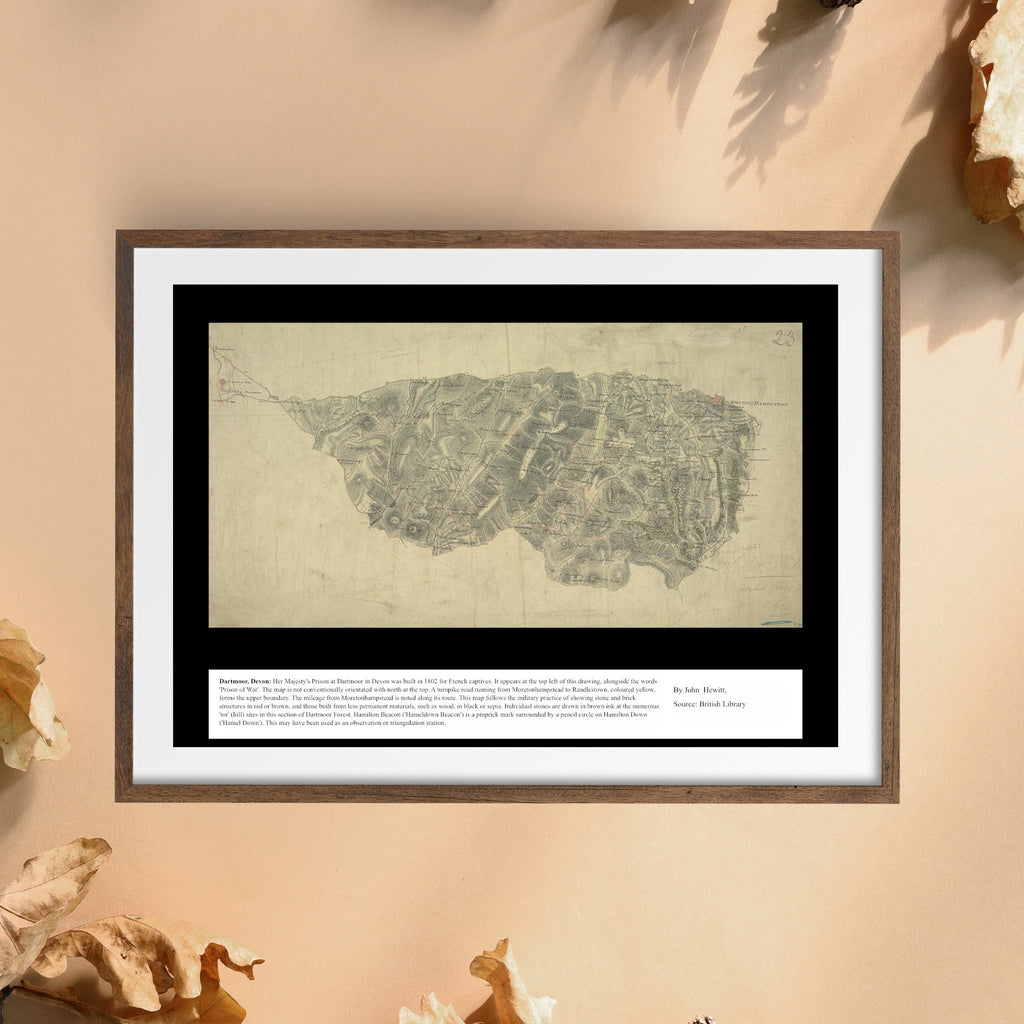 UK Vintage Map - Dartmoor Devon