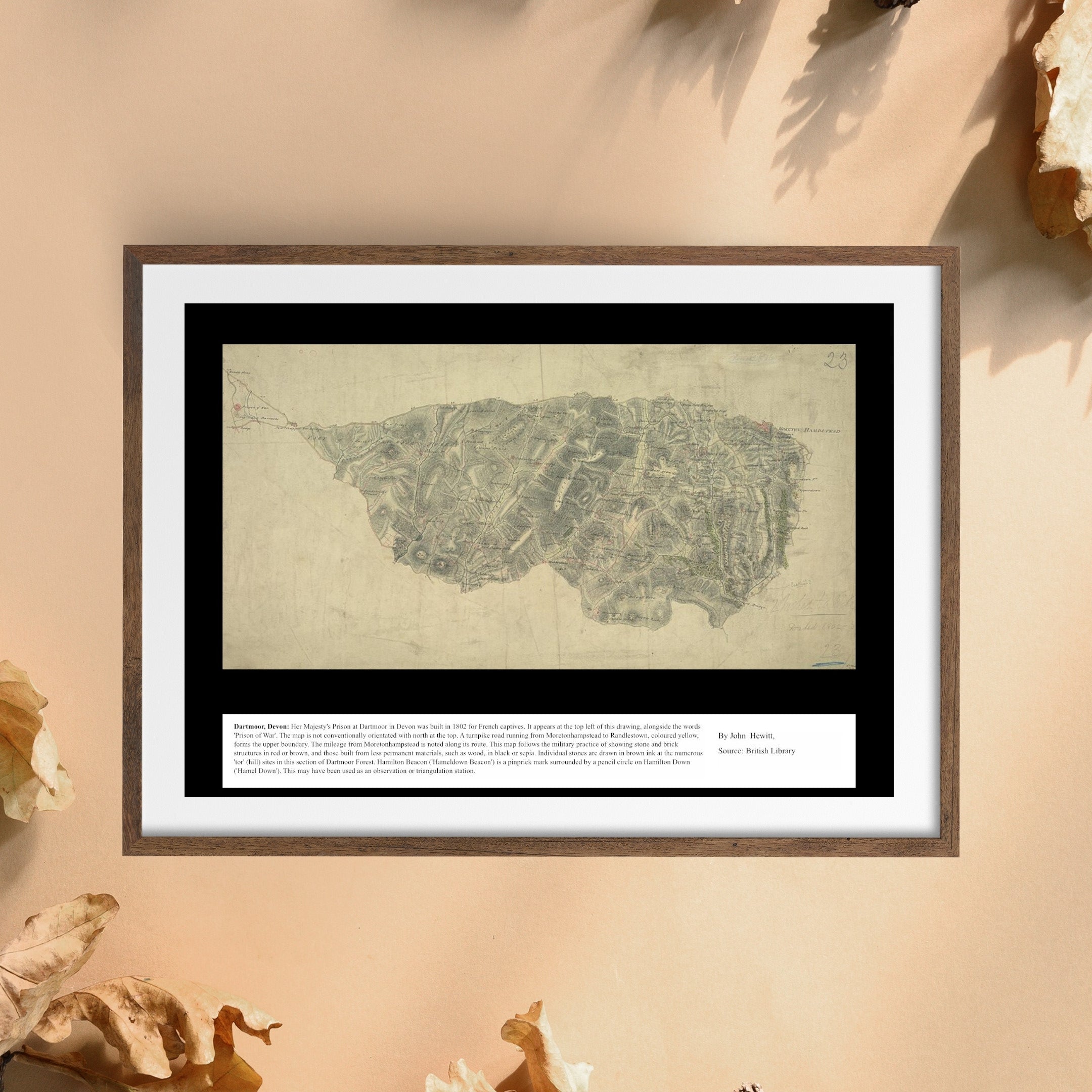 UK Vintage Map - Dartmoor Devon