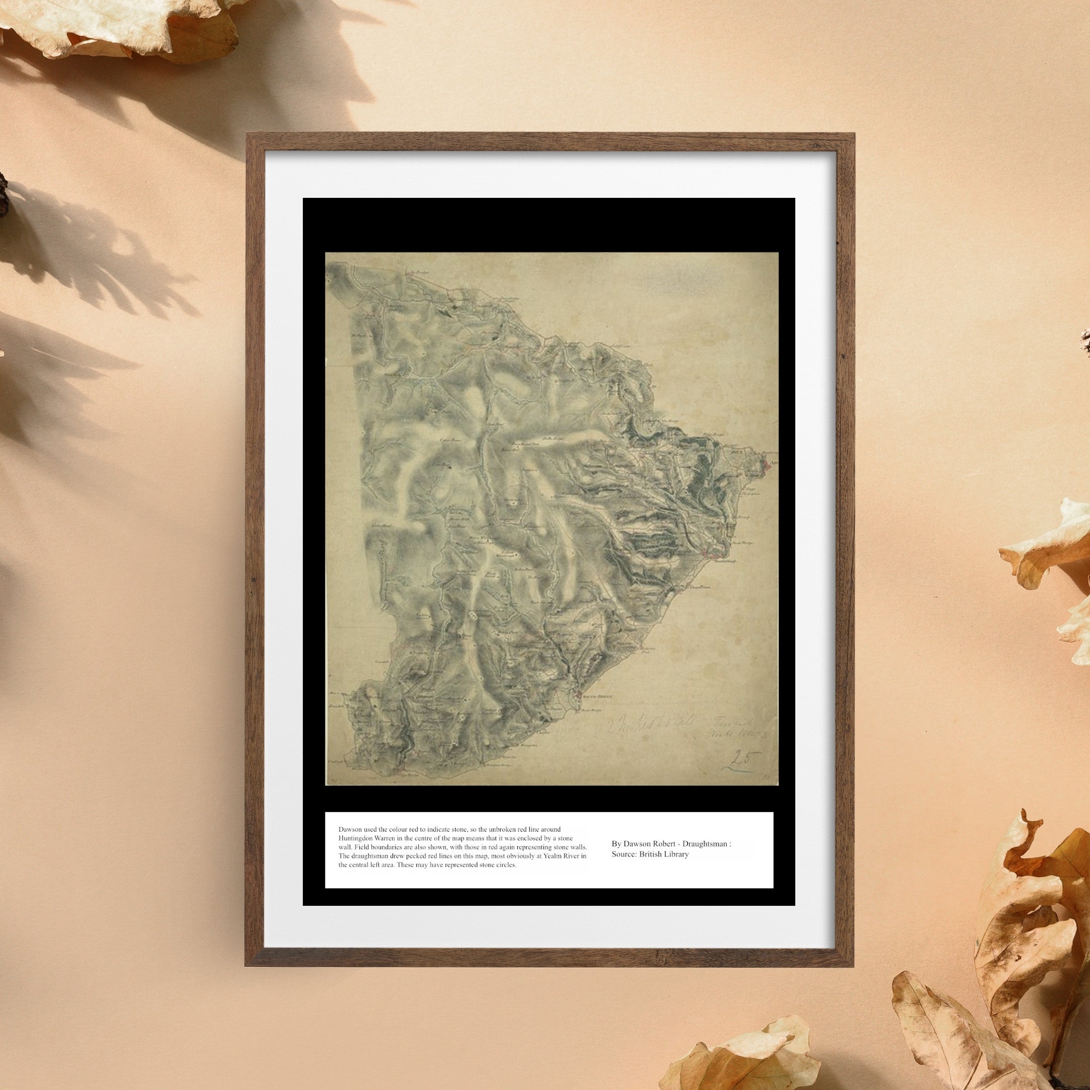 UK Vintage Map - Huntingdon Warren Devon