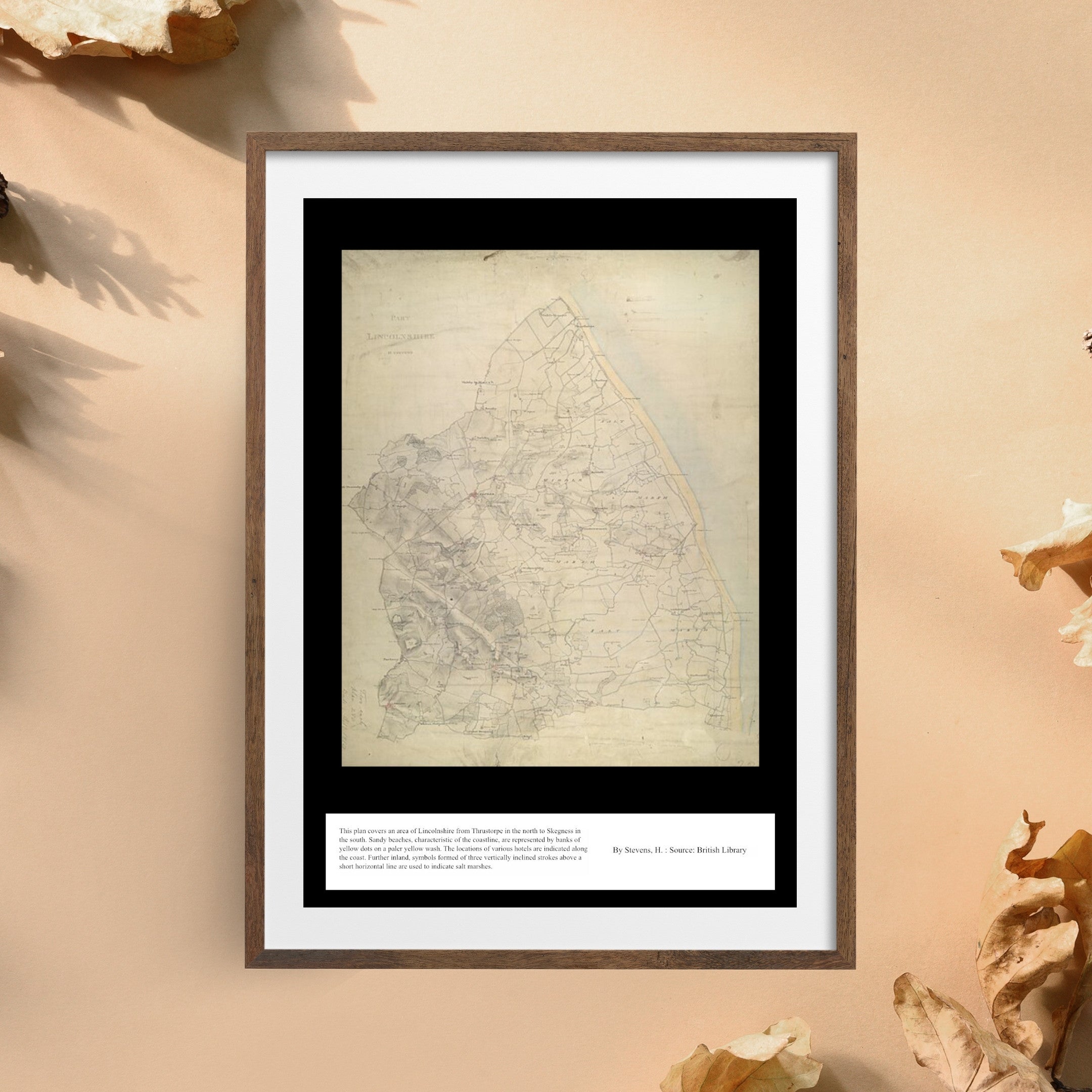 UK Vintage Map - Lincolnshire