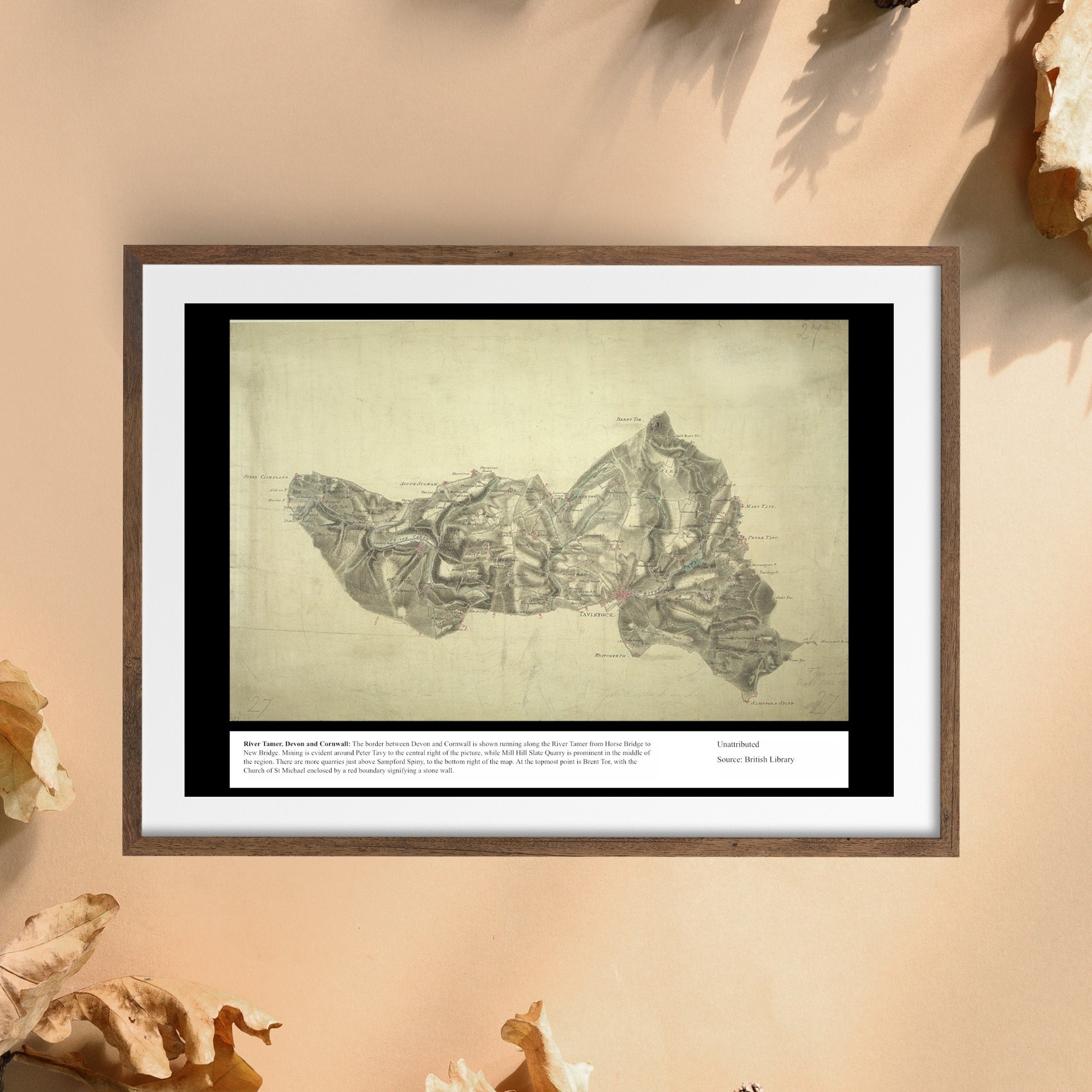 UK Vintage Map - River Tamer Devon Cornwall