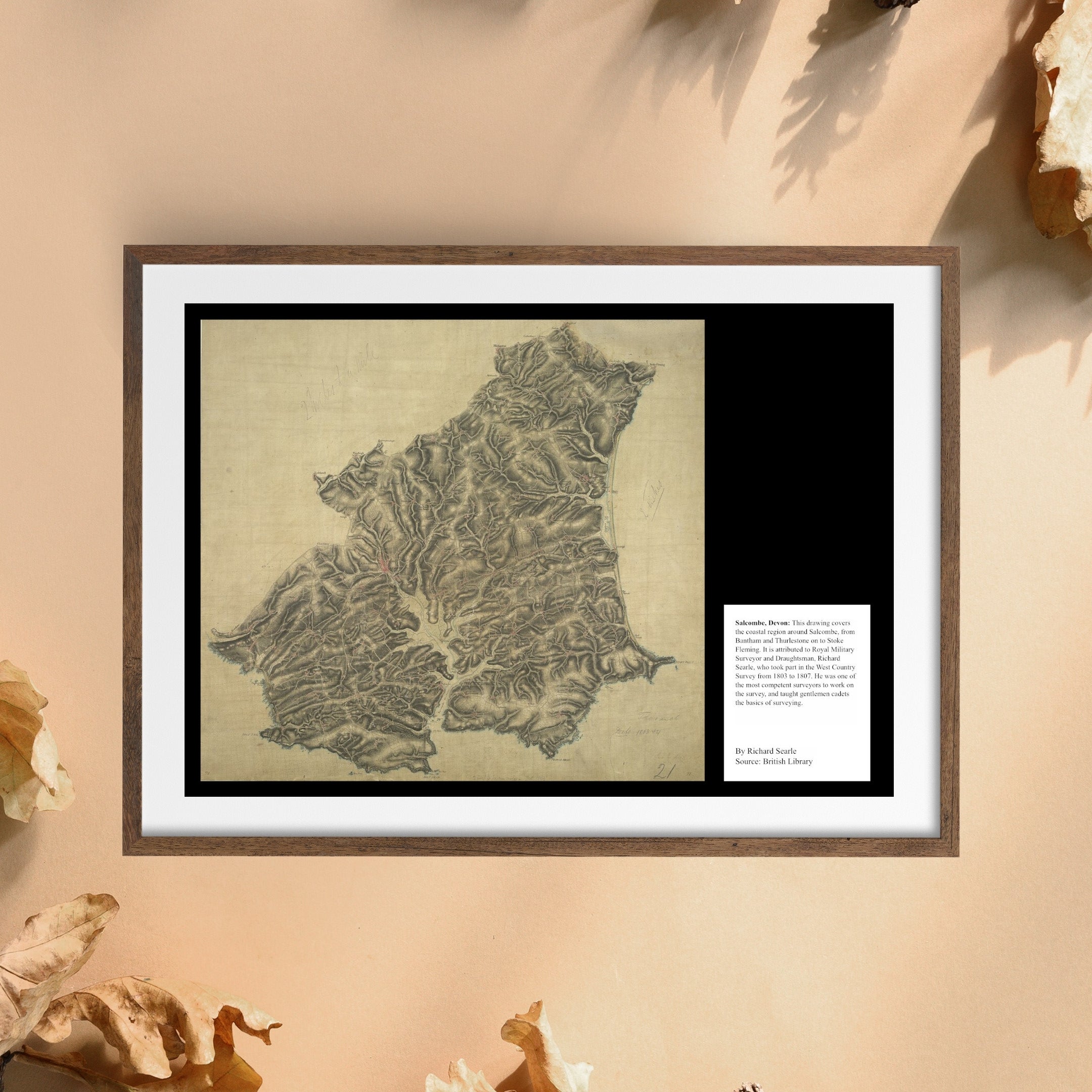 UK Vintage Map - Salcombe Devon