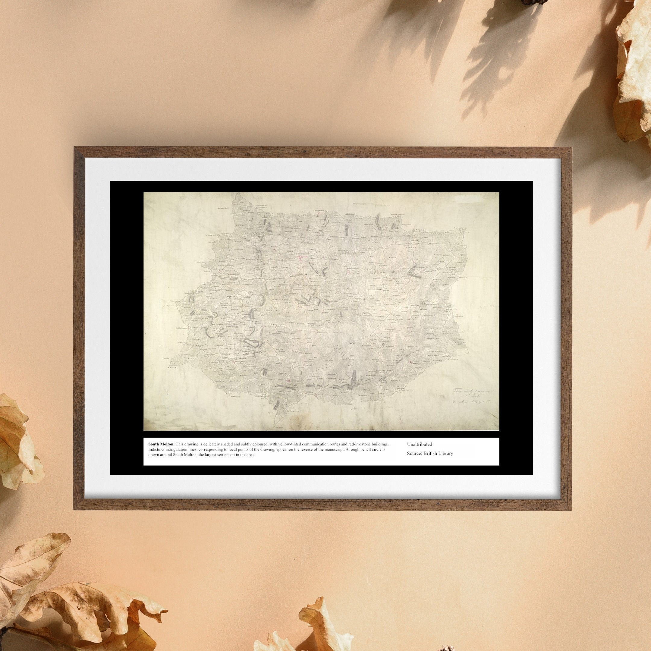 UK Vintage Map - South Molton Devon